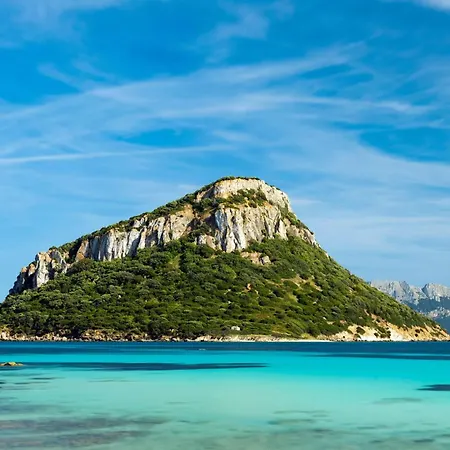 White House - Happy Appartement *